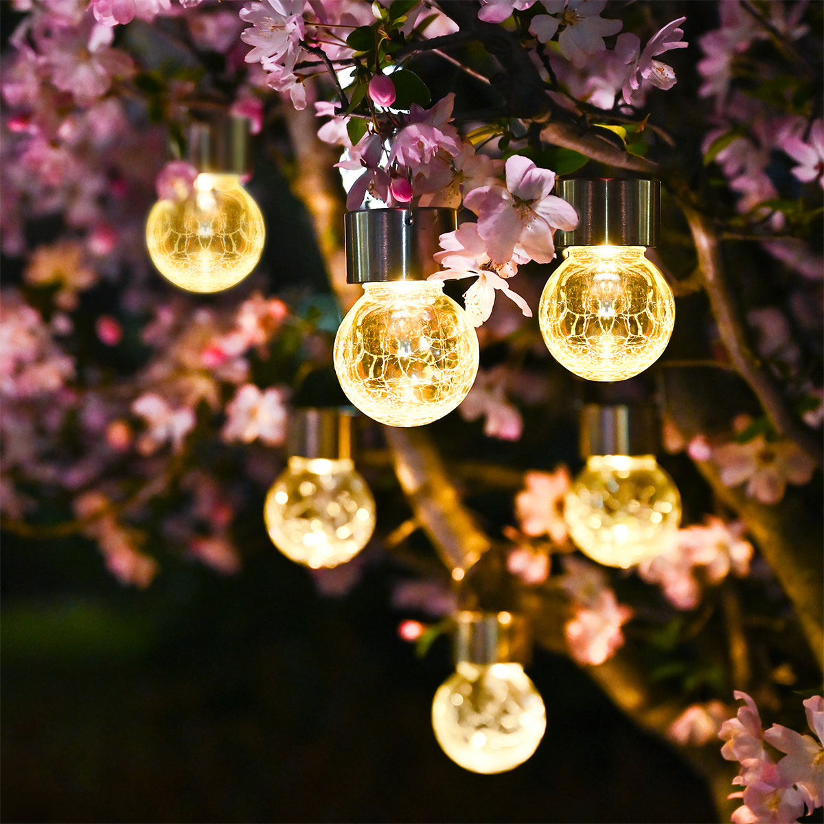 hanging solar lights