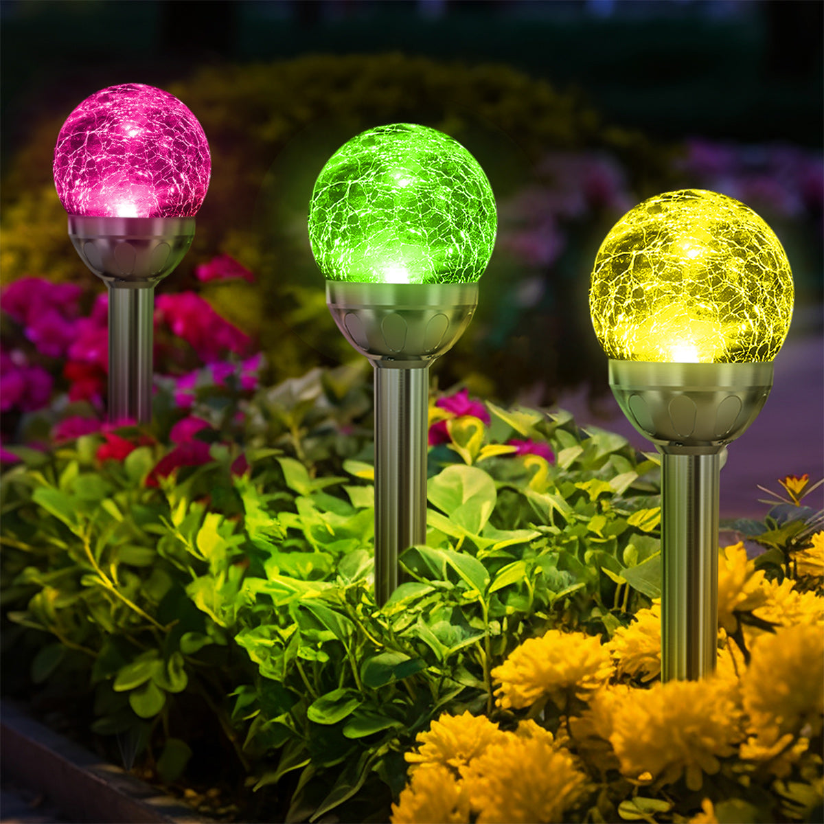 glass globe lights