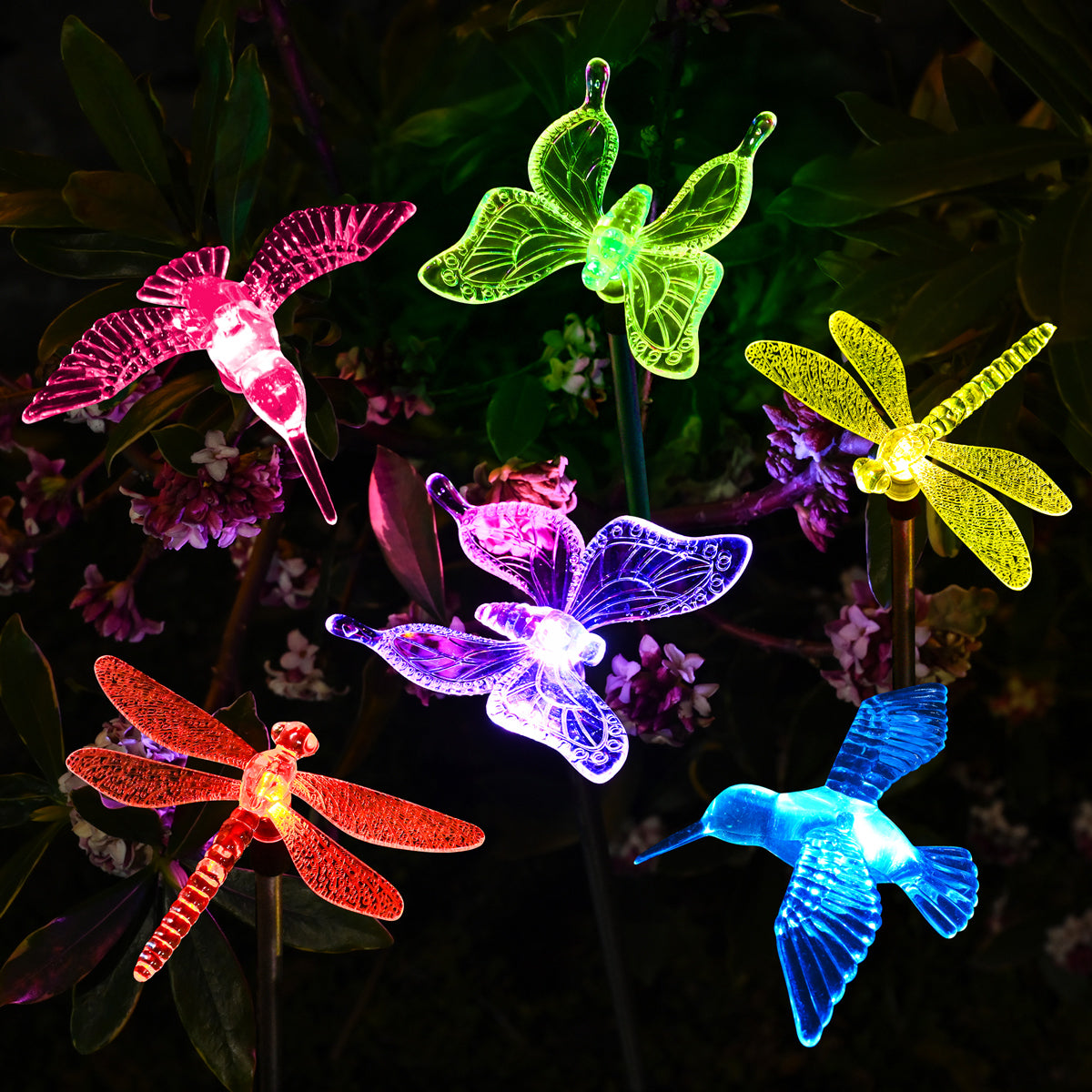 colorful garden solar lights